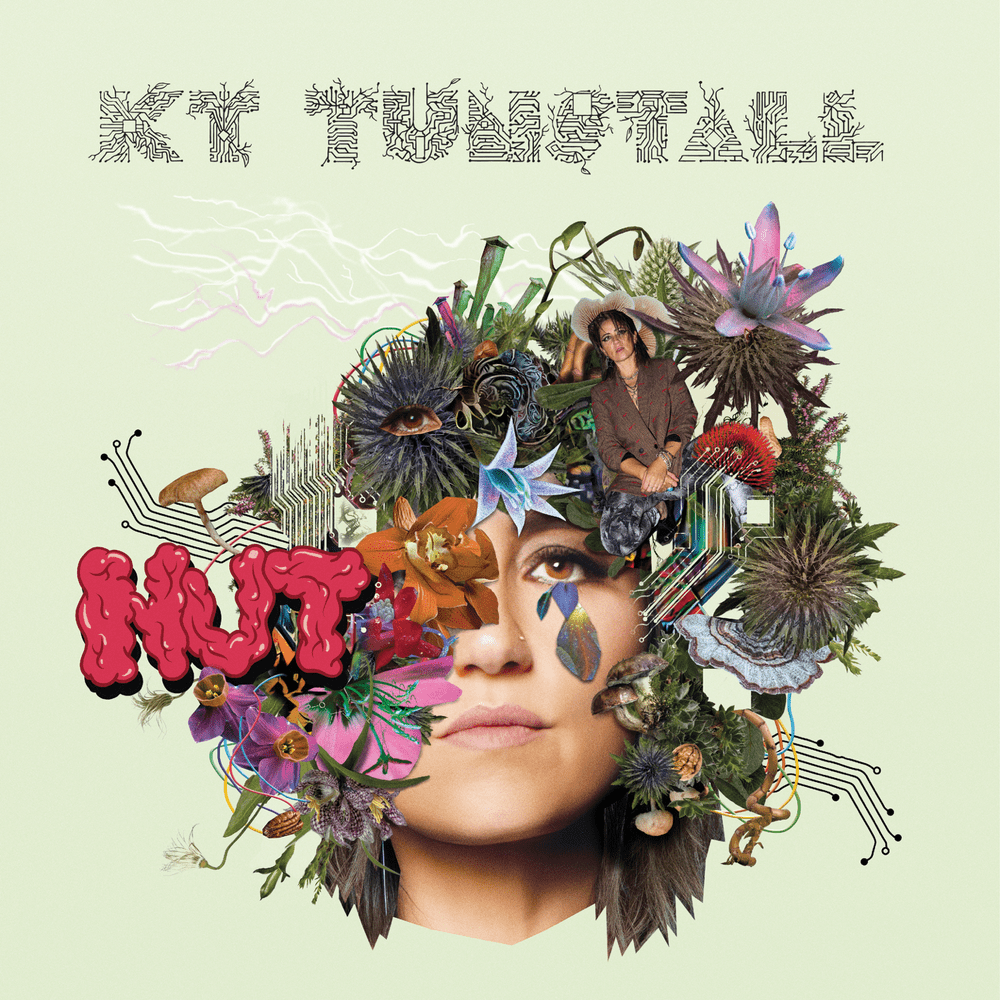Out Of Touch by KT Tunstall