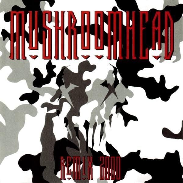Cover image for Remix 2000
