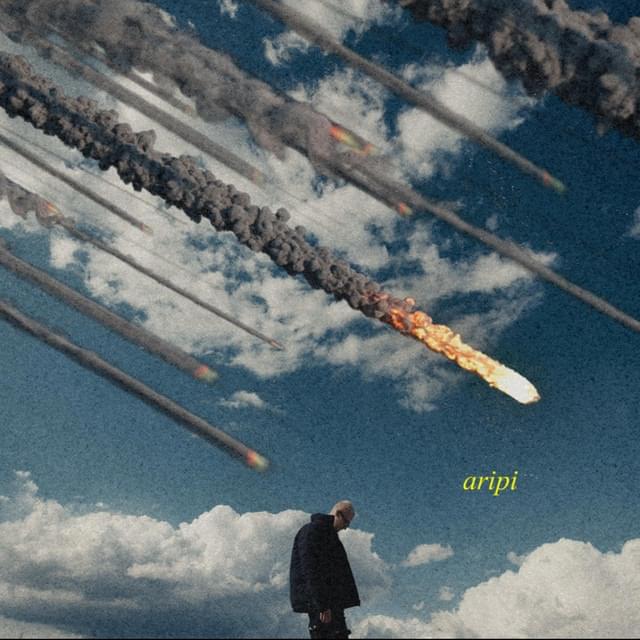 Aripi by Dhali
