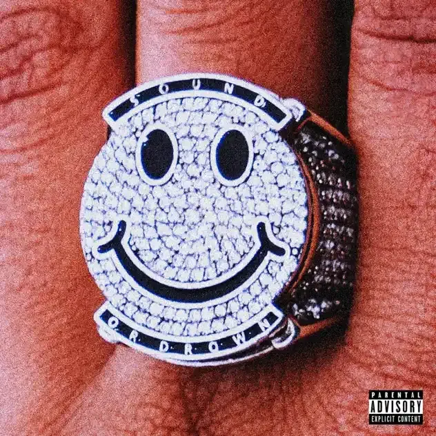 Cover image for Sound or Drown