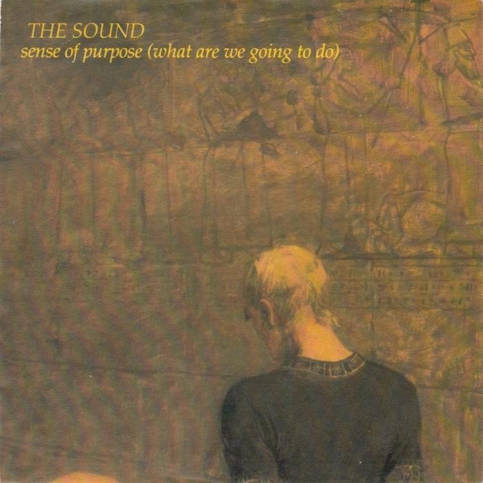 Sense of Purpose by The Sound