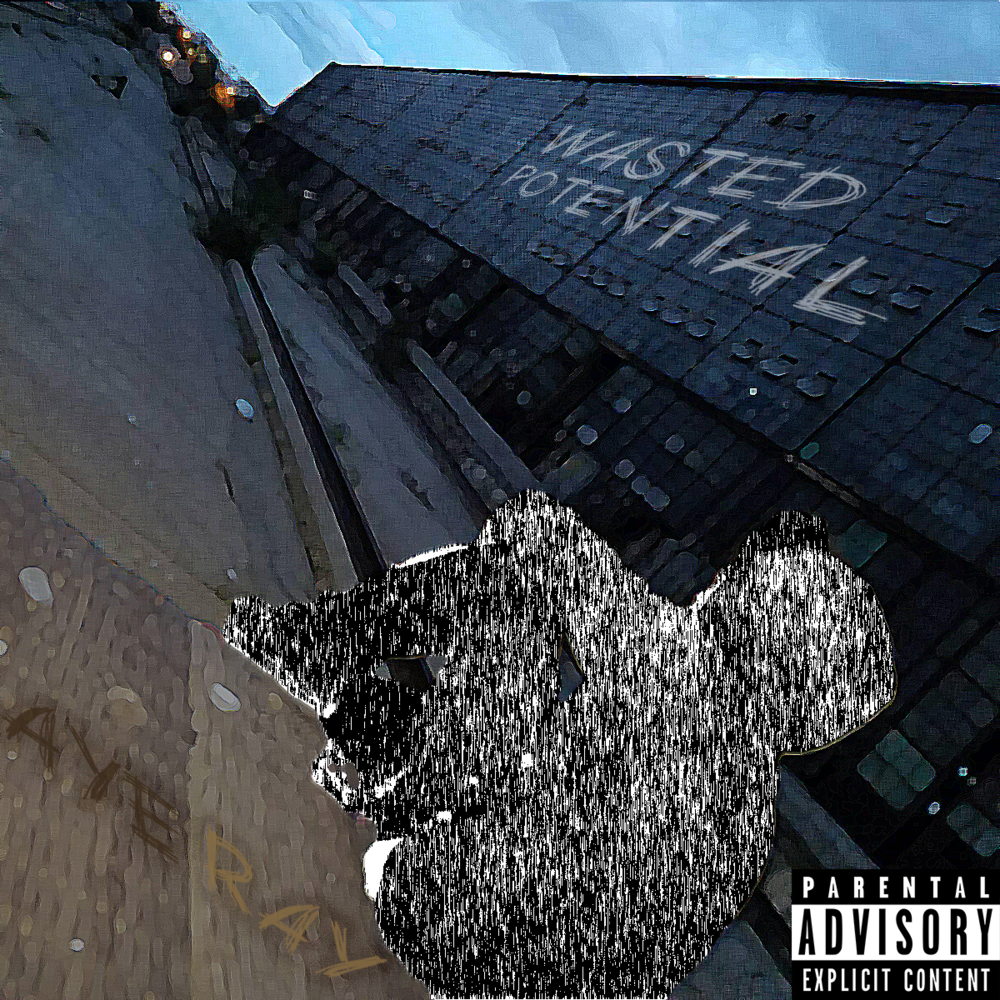 Cover image for Wasted Potential