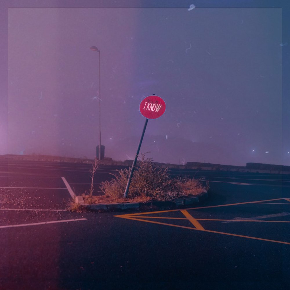 I Know by Jessie Vatutin