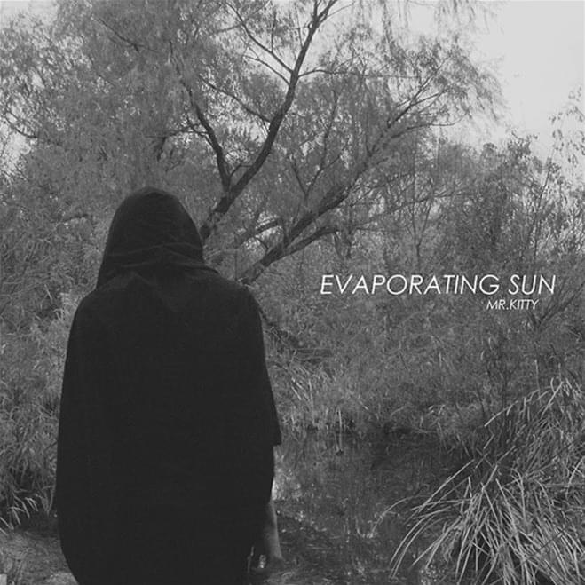 Album cover art for "Evaporating Sun" by Mr.Kitty