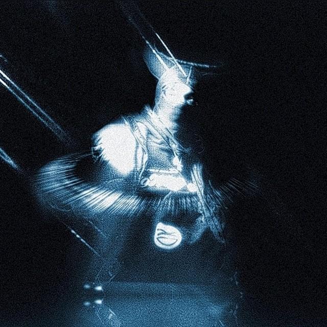 Cover image for I Am Not A Human Being