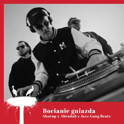 Album cover art for "Bocianie Gniazda" by Skorup