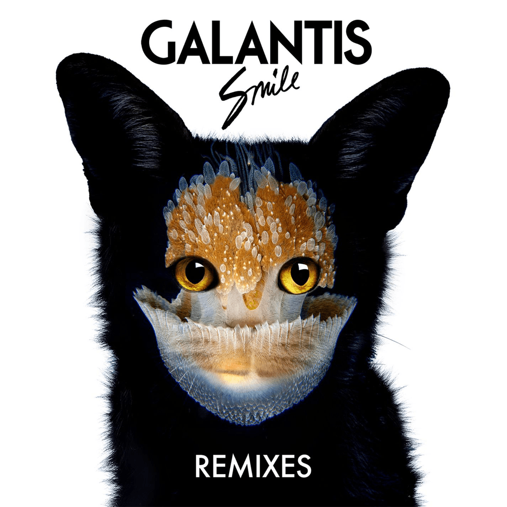 Album cover art for "Smile (Kaskade Edit)" by Galantis