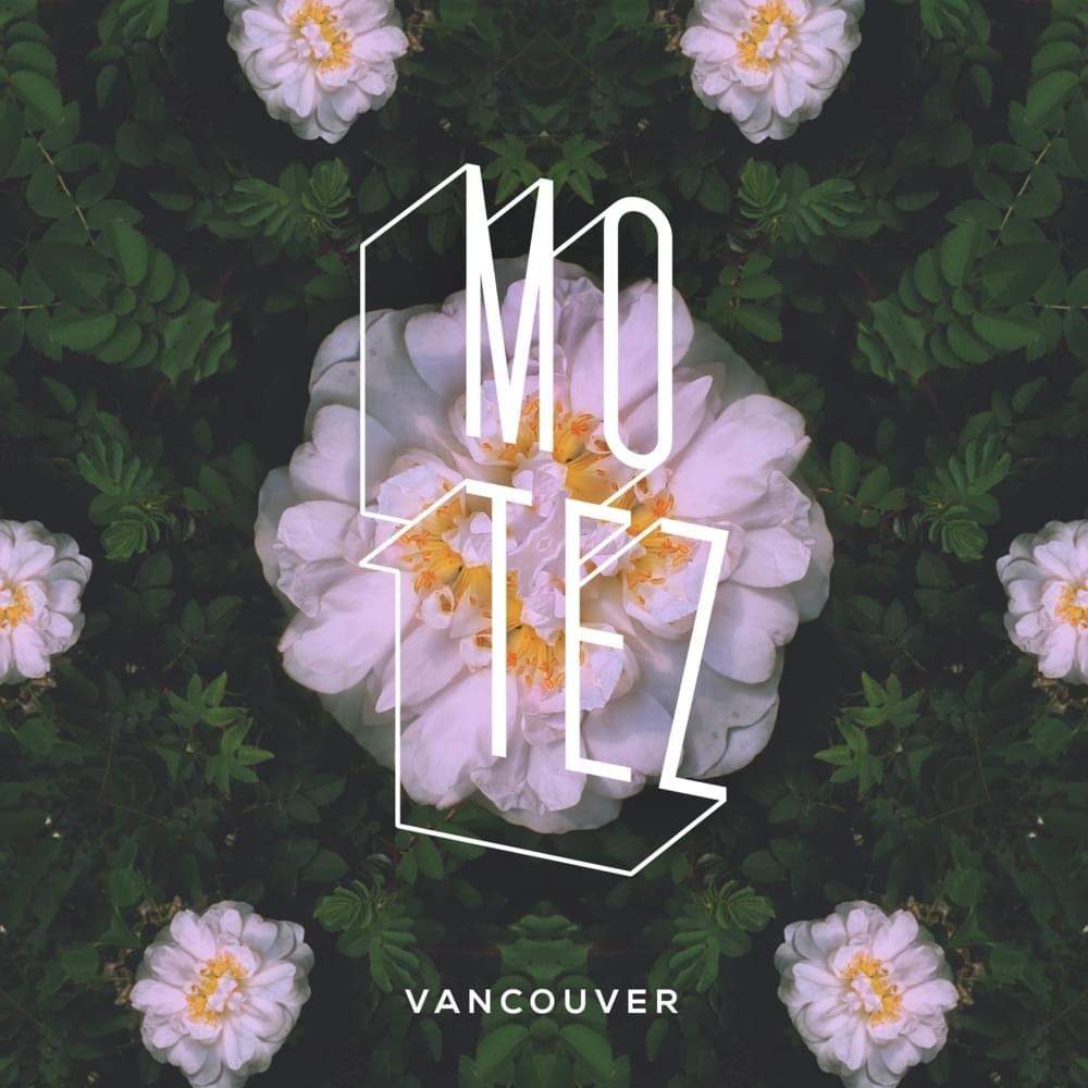 Tryna Shake It by Motez