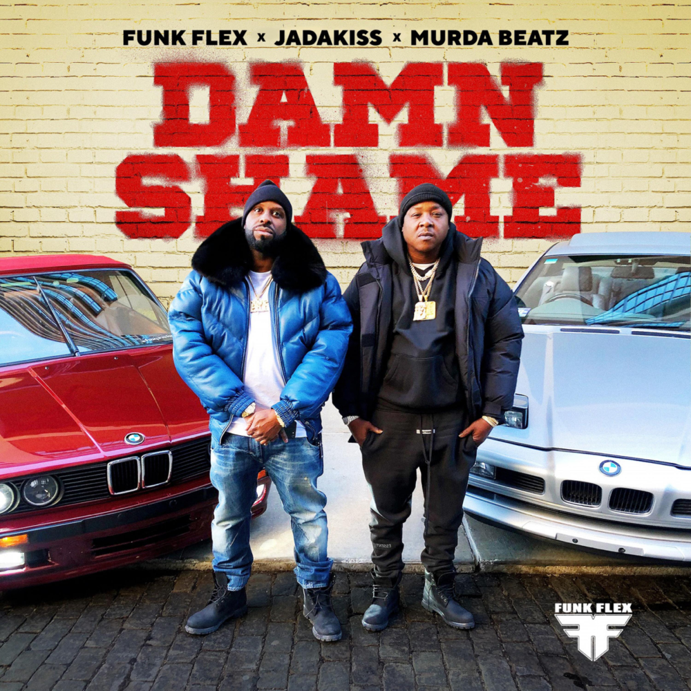Album cover art for "Damn Shame" by Funkmaster Flex