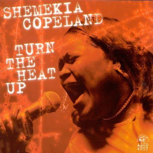Album cover art for "Salt in My Wounds" by Shemekia Copeland