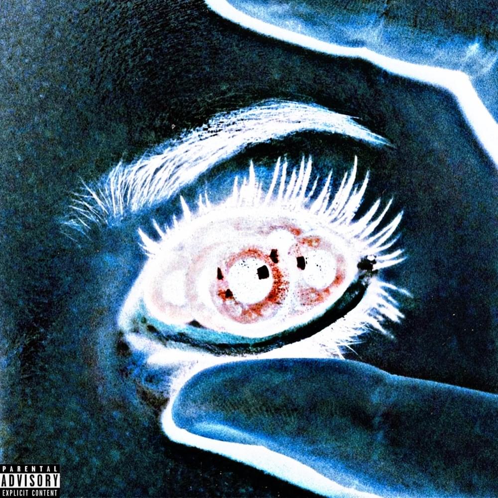 Cover image for Metamorphosis