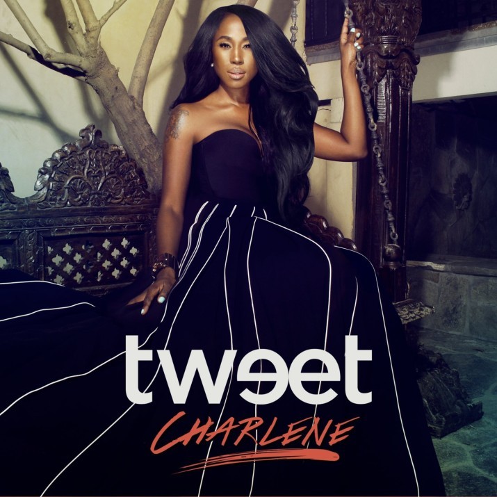 Album cover art for "Somebody Else Will" by Tweet & Missy Elliott