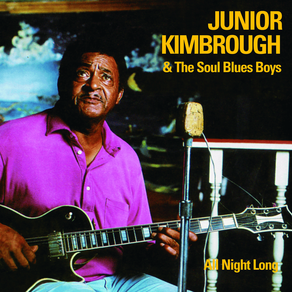 Meet Me in the City (1992 Live) by Junior Kimbrough