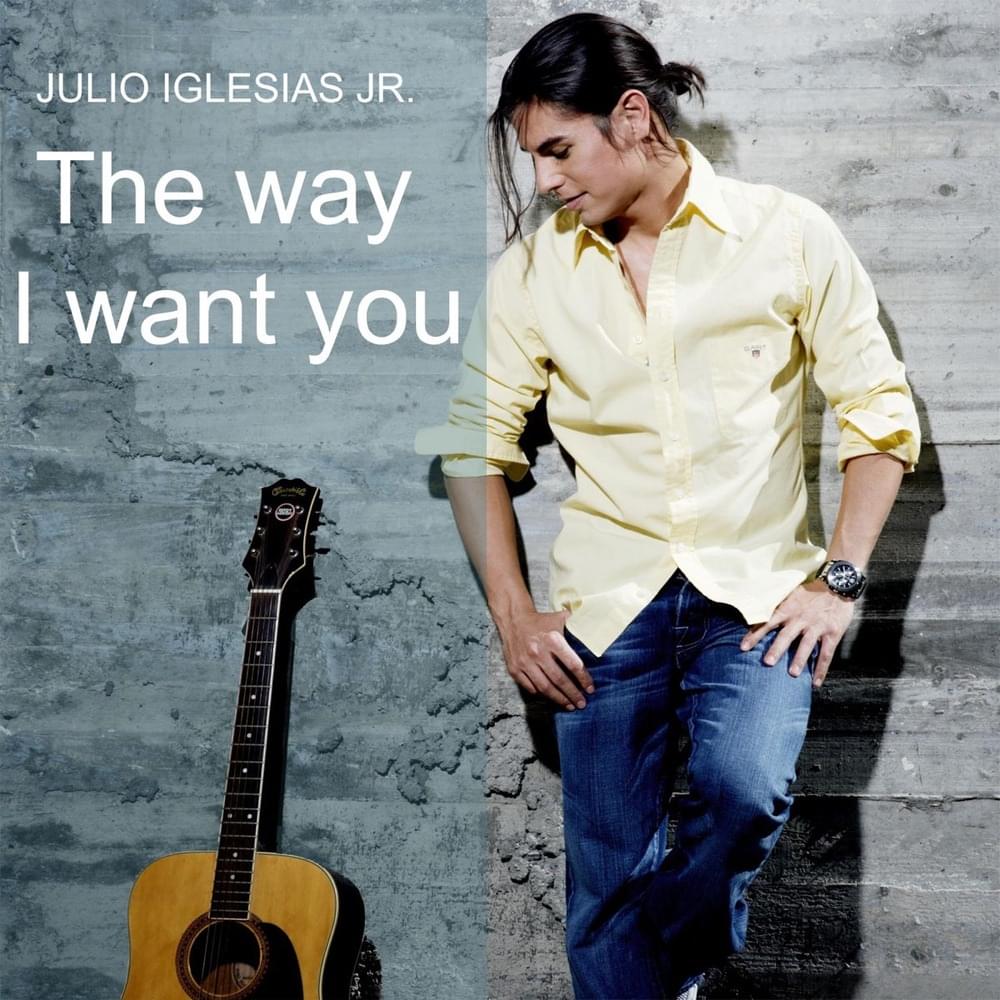 Album cover art for "The Way I Want You" by Julio Iglesias Jr.