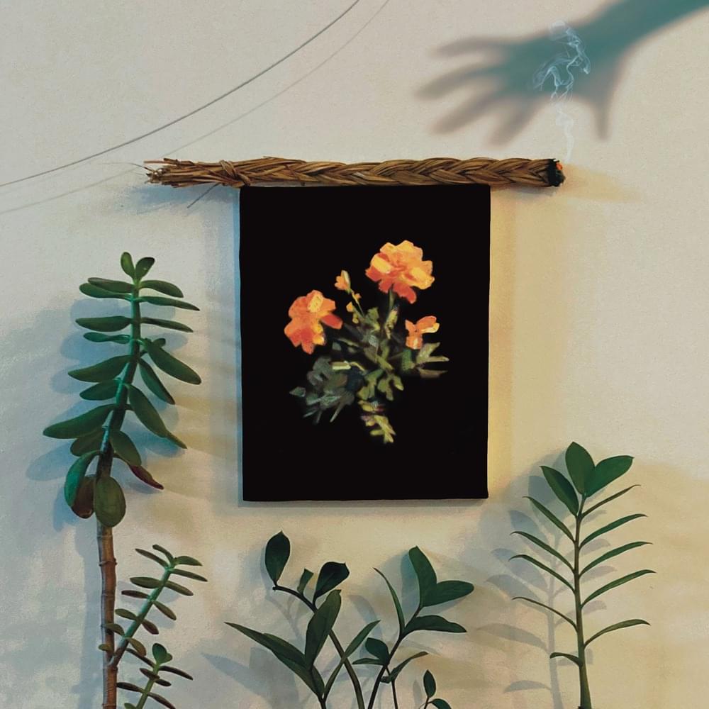 Album cover art for "The Letters, Etc." by WHY?