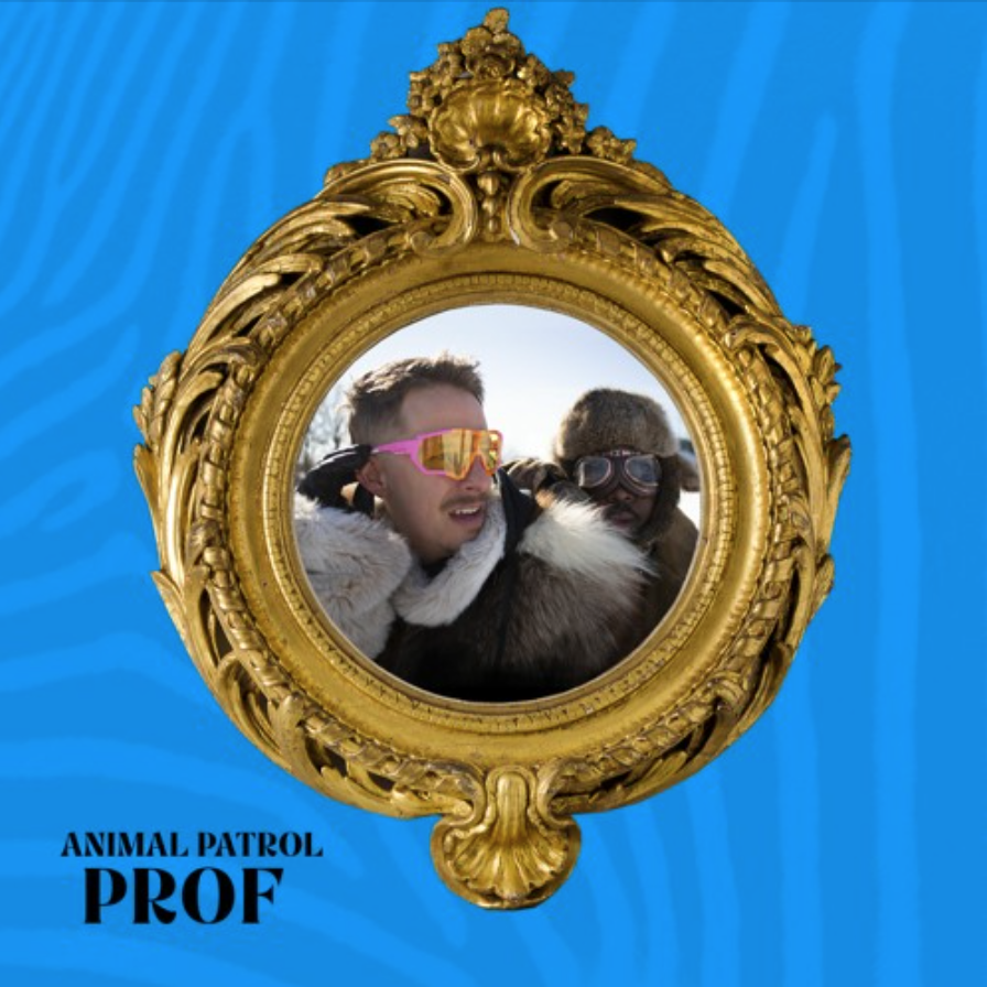 Album cover art for "Animal Patrol" by Prof
