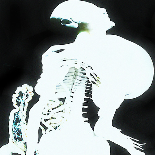 Album cover art for "Pargo" by Arca