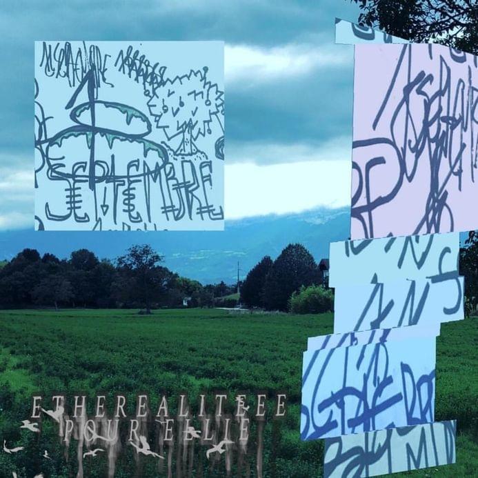 Album cover art for "Bones Ethereal Flip" by Old. antoine allo