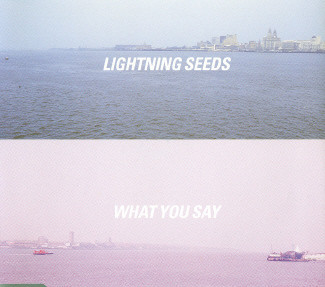 Album cover art for "What You Say" by The Lightning Seeds