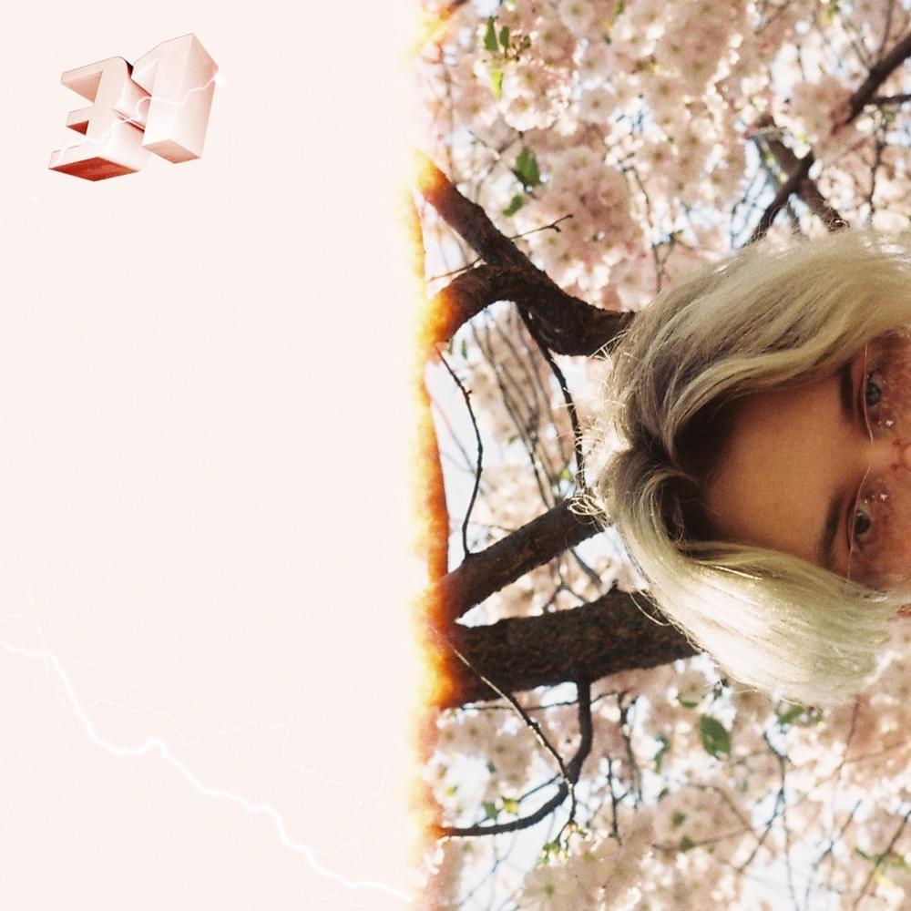 Cover image for 31