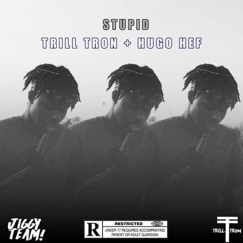 Stupid by Trill Tron