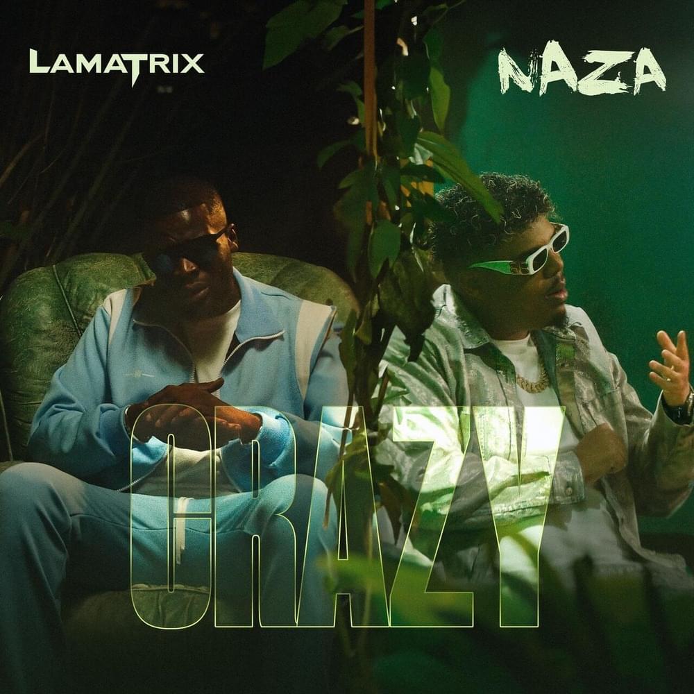 CRAZY by Lamatrix