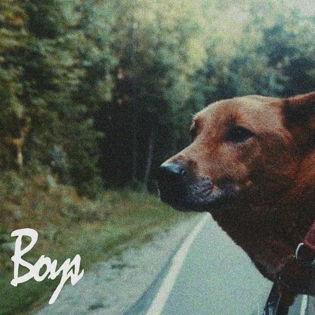 Cover image for Boys