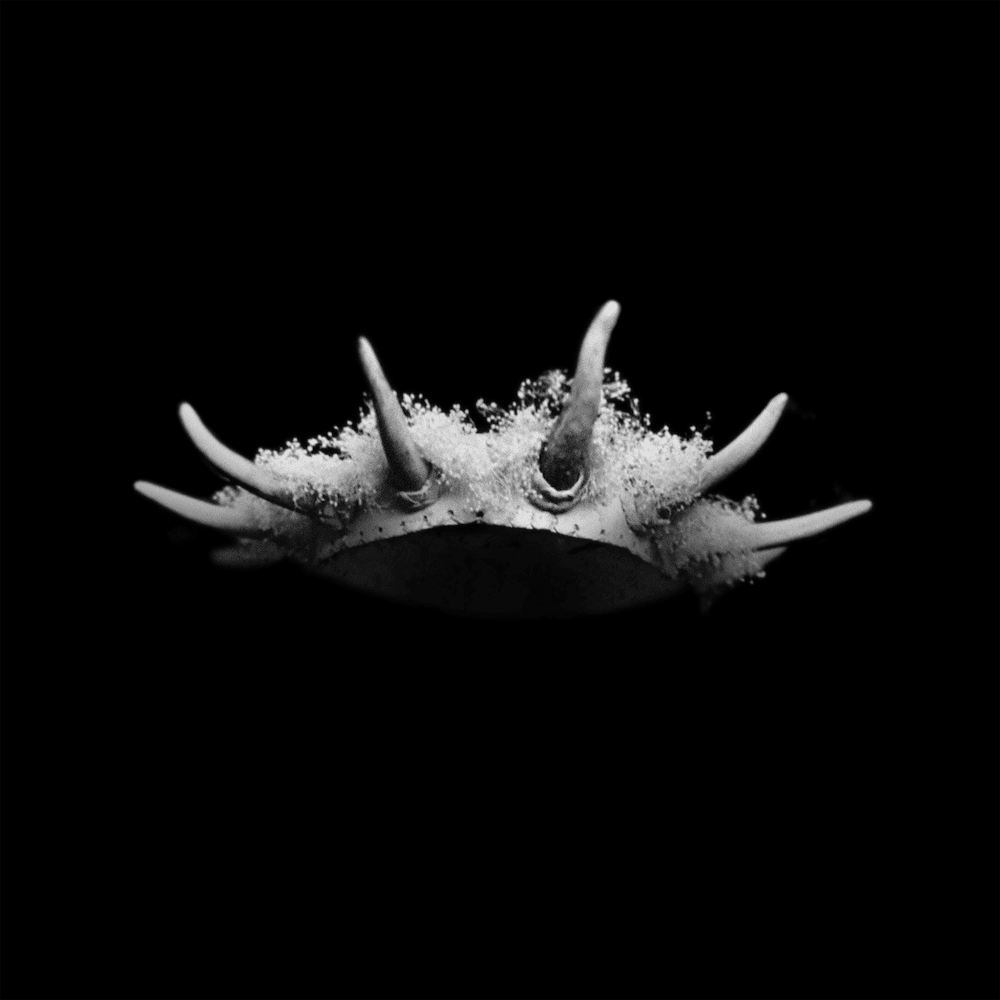 Album cover art for "FEEL NOTHING (RESET)" by The Plot In You