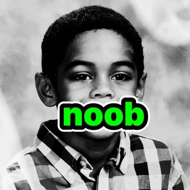 Cover image for noob