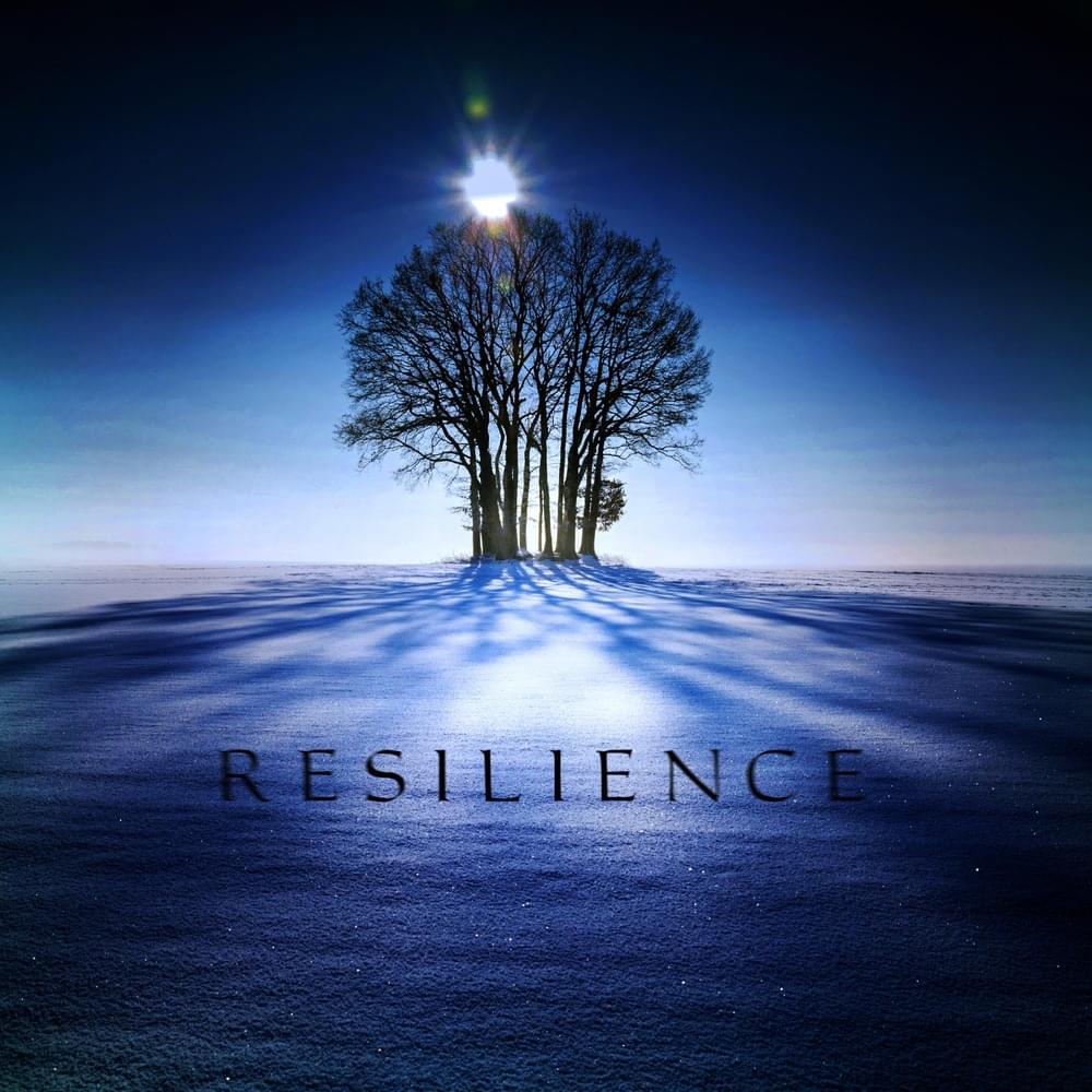 Cover image for Resilience