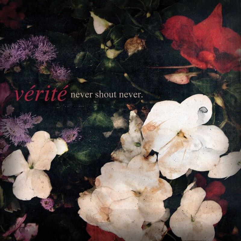 Cover image for Vérité