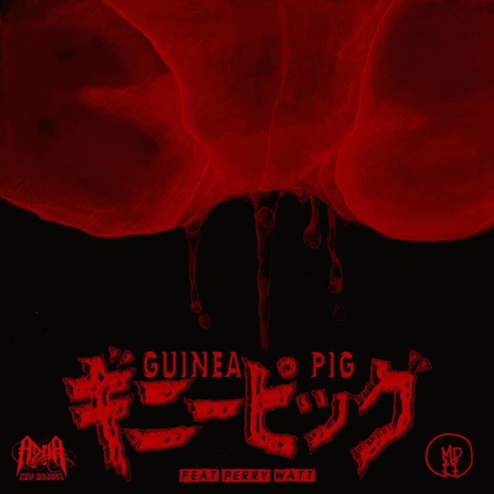 Guinea Pig by Adria The Reject