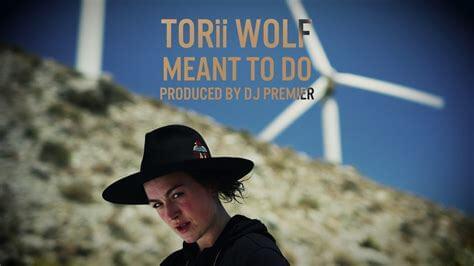 Meant to Do by Torii Wolf