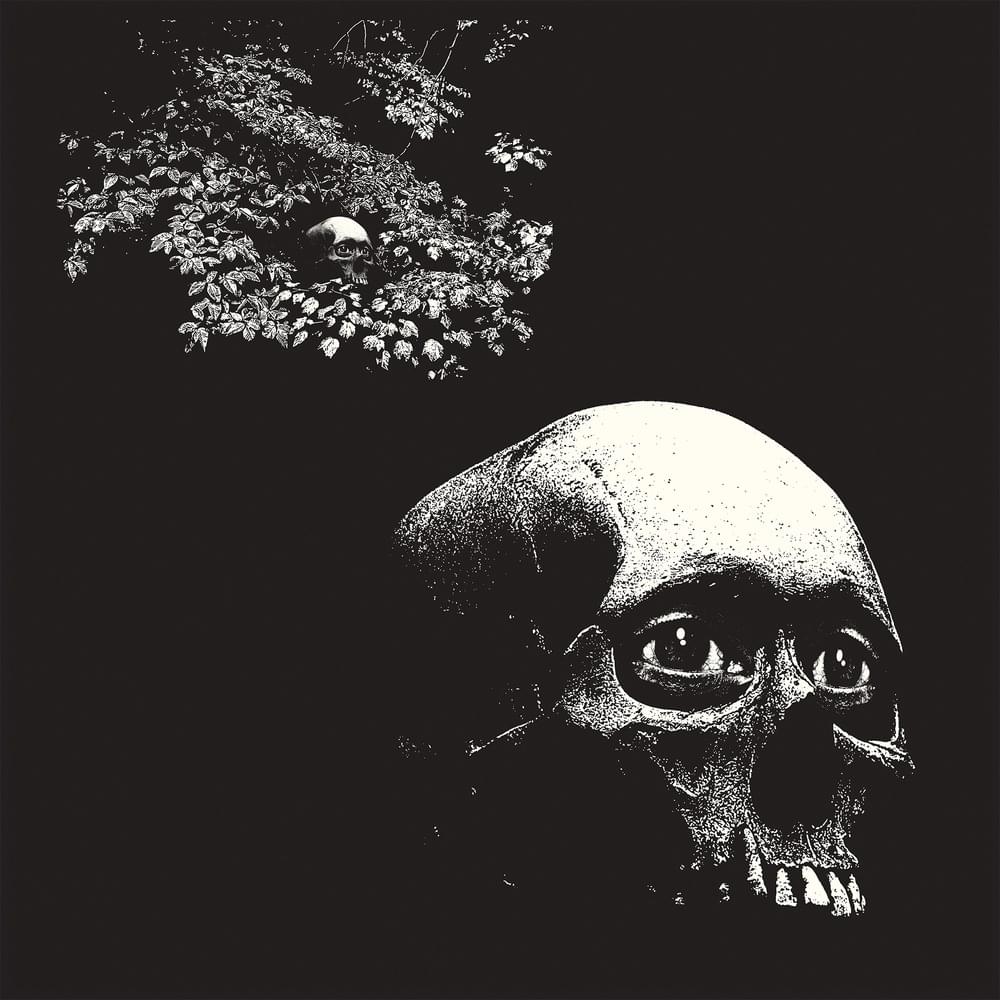 Album cover art for "A Foul Form" by Osees