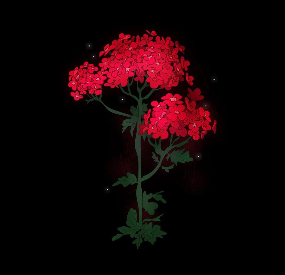 Album cover art for "Yarrow" by Miles morkri & Michaela Nachtigall