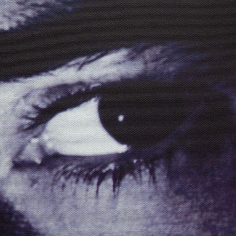 Album cover art for "Vigilance" by Melody Lz