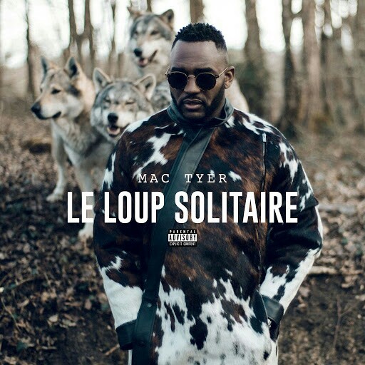 Album cover art for "Le loup solitaire" by Mac Tyer