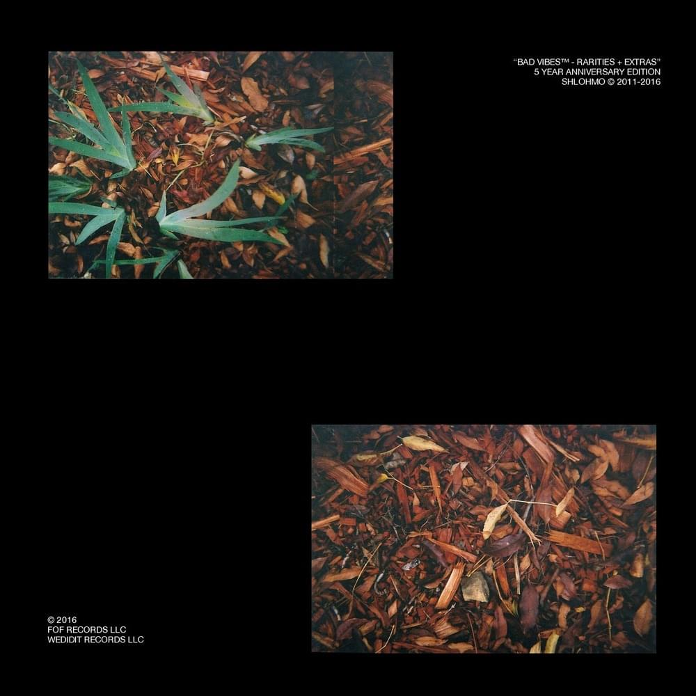 Cover image for Bad Vibes: Rarities + Extras