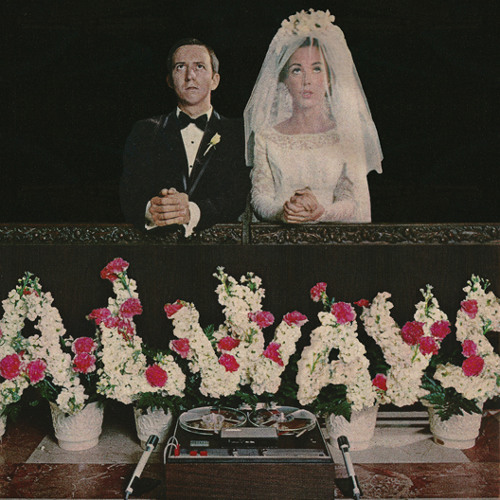 Adult Diversion by Alvvays