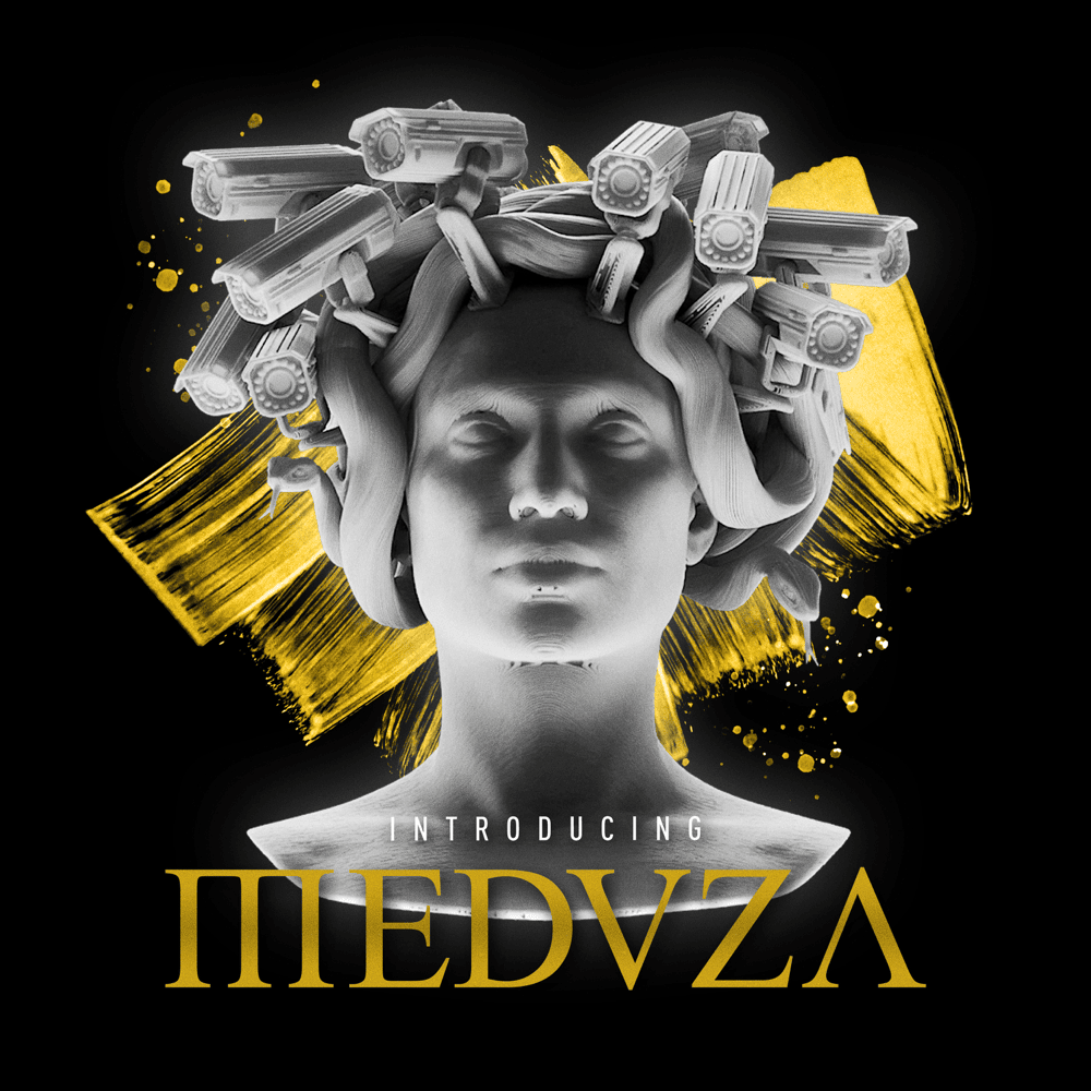 Cover image for Introducing MEDUZA