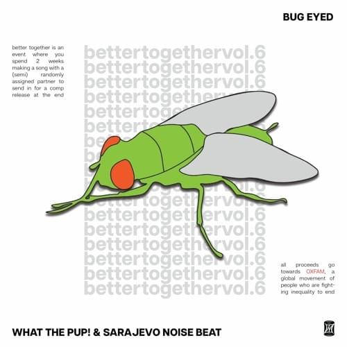 Album cover art for "bug eyed" by What The PUP!