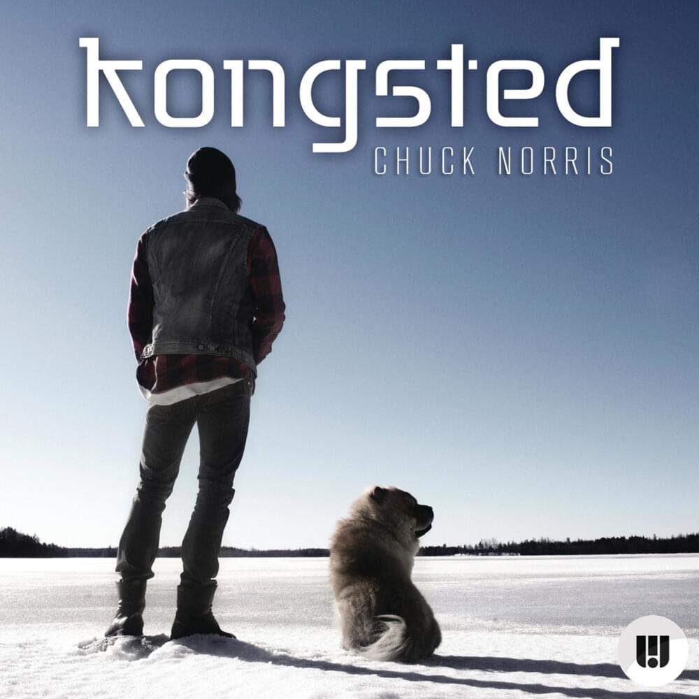 Album cover art for "Chuck Norris (Radio Edit)" by Kongsted