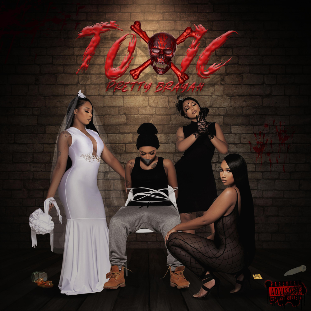 Cover image for Toxic
