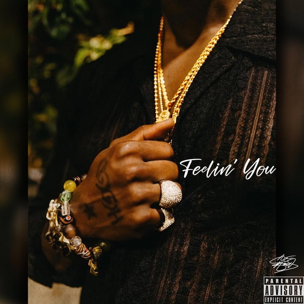 Album cover art for "Feelin’ You" by Ace Hood