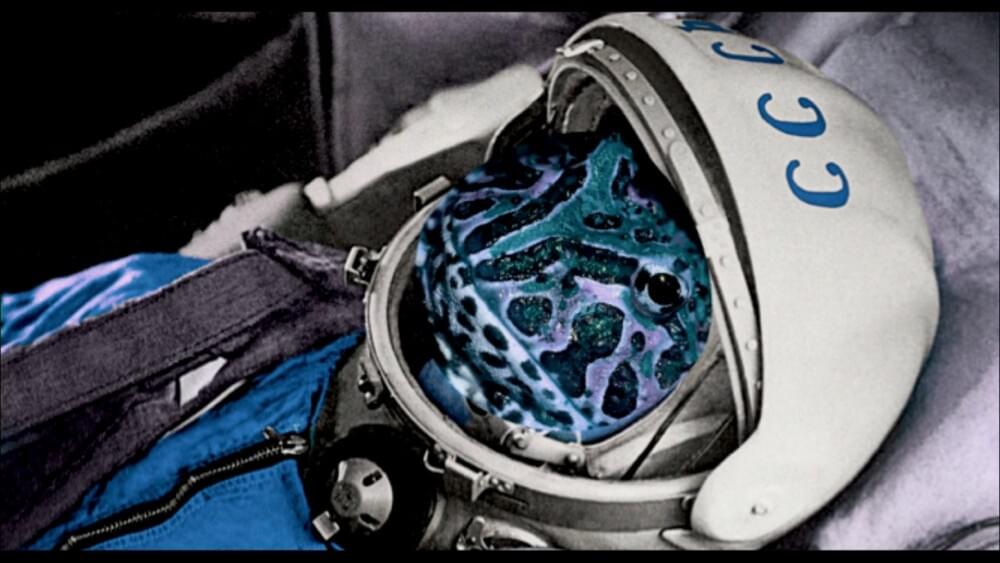 Album cover art for "Sofia, The Space Traveling Argentine Horned Frog" by Carlisle Evans Peck