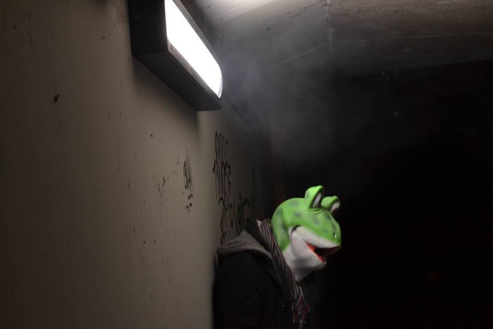 Cover image for Sigmund Frog