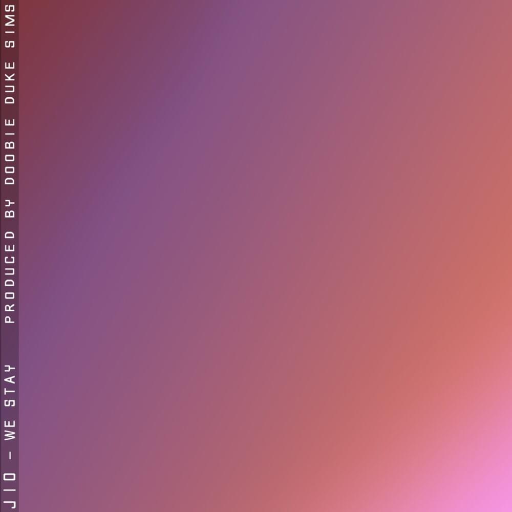Cover image for We Stay