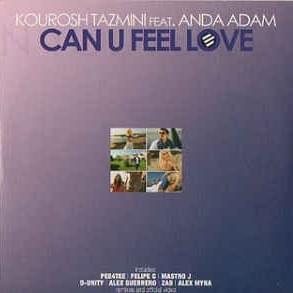 Cover image for Can U Feel Love (Remixes)
