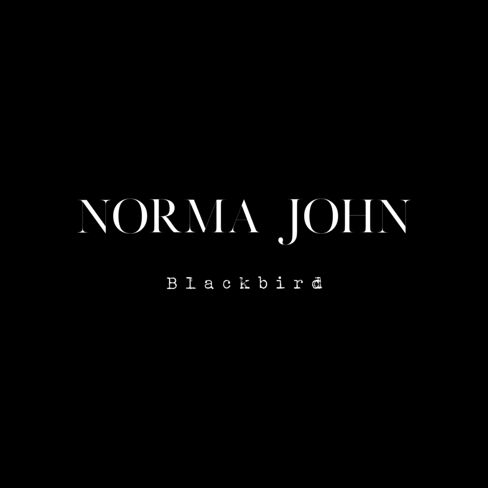 Album cover art for "Blackbird" by Norma John