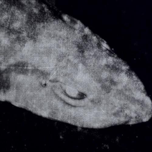 Album cover art for "Nickhaut" by HNRK